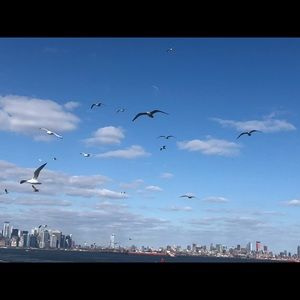 Meet your Posher, Colin